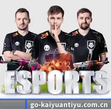 开元体育 APP - Kaiyuansports